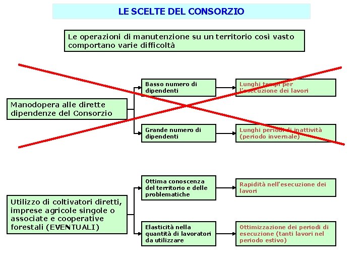 LE SCELTE DEL CONSORZIO Le operazioni di manutenzione su un territorio così vasto comportano