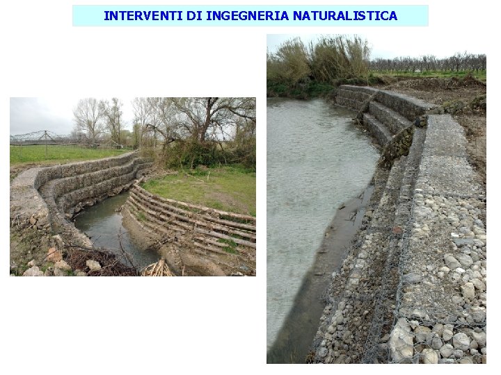 INTERVENTI DI INGEGNERIA NATURALISTICA 