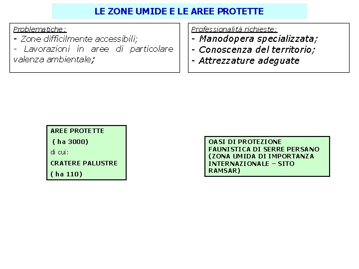 LE ZONE UMIDE E LE AREE PROTETTE Problematiche: - Zone difficilmente accessibili; - Lavorazioni