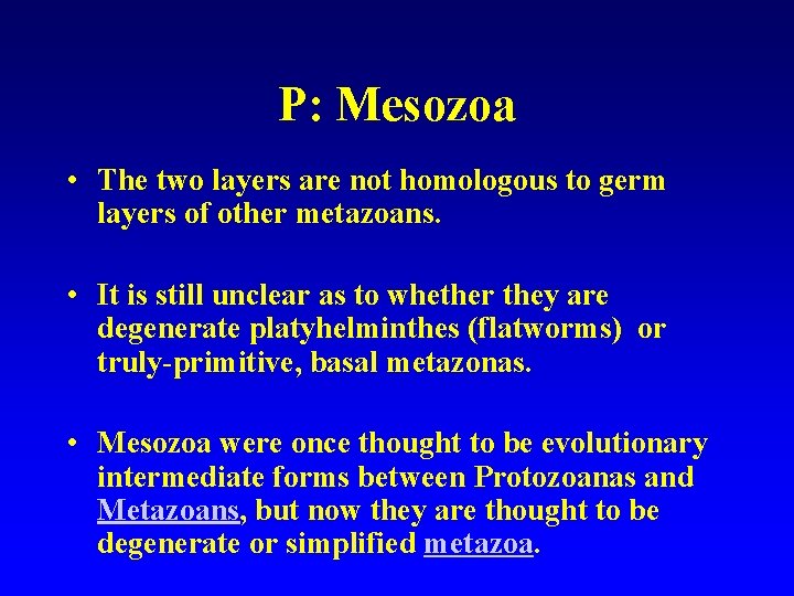 P: Mesozoa • The two layers are not homologous to germ layers of other