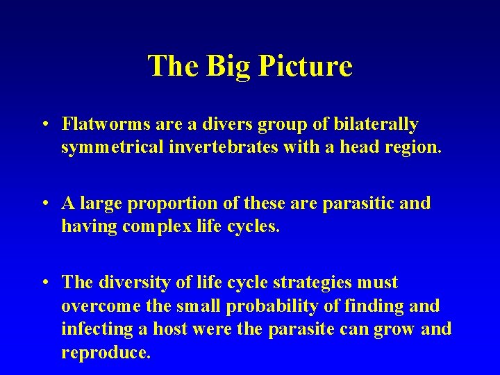 The Big Picture • Flatworms are a divers group of bilaterally symmetrical invertebrates with