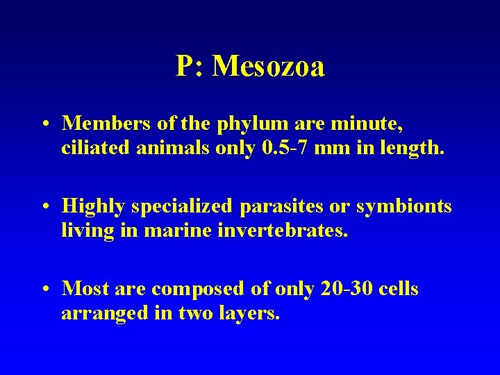 P: Mesozoa • Members of the phylum are minute, ciliated animals only 0. 5