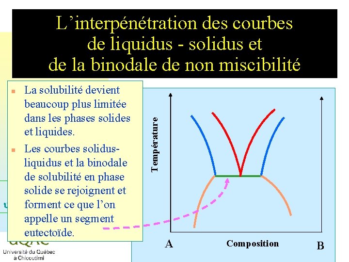 L’interpénétration des courbes de liquidus - solidus et de la binodale de non miscibilité