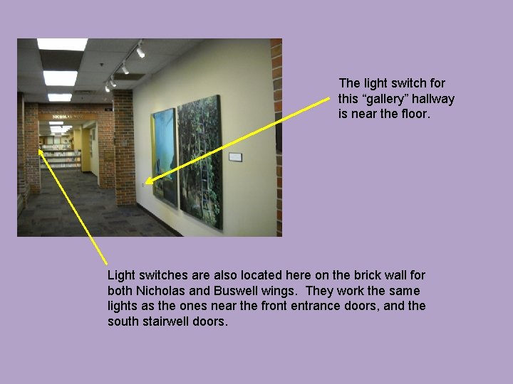 The light switch for this “gallery” hallway is near the floor. Light switches are