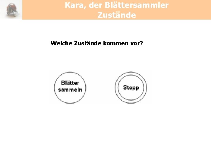 Kara, der Blättersammler Zustände Welche Zustände kommen vor? 