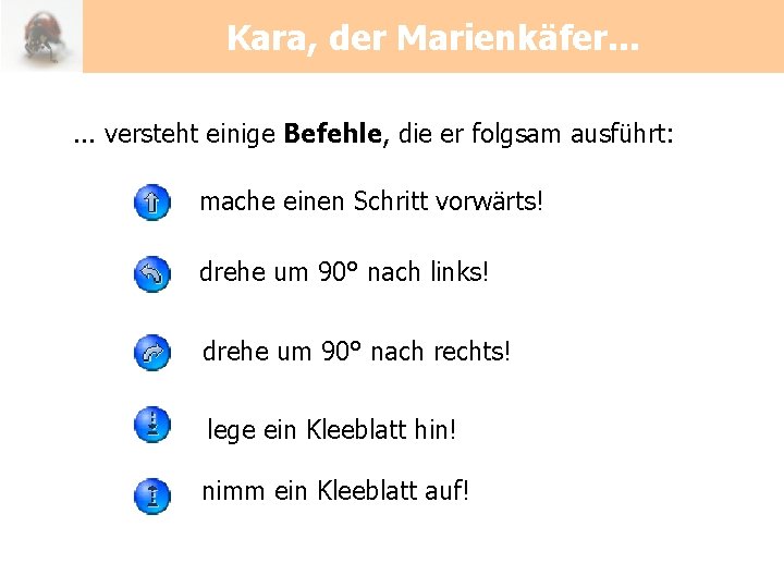 Kara, der Marienkäfer. . . versteht einige Befehle, die er folgsam ausführt: mache einen