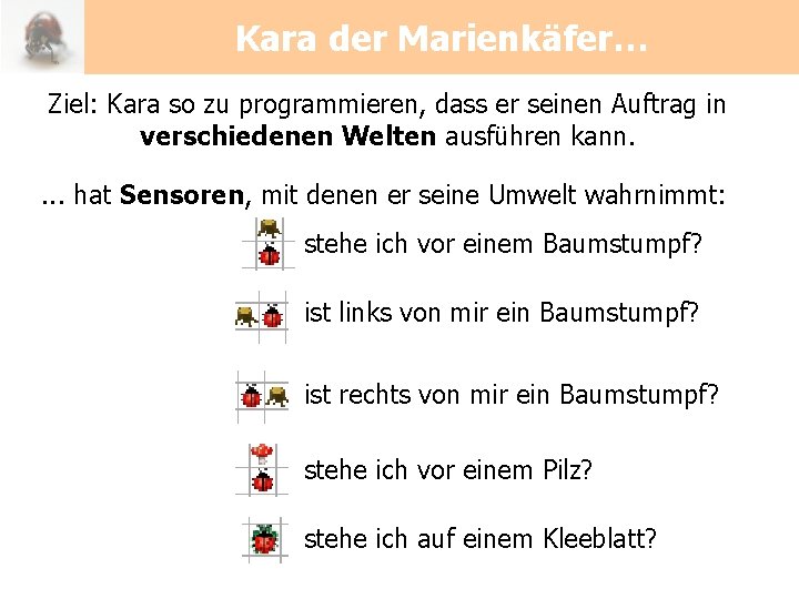 Kara der Marienkäfer… Ziel: Kara so zu programmieren, dass er seinen Auftrag in verschiedenen