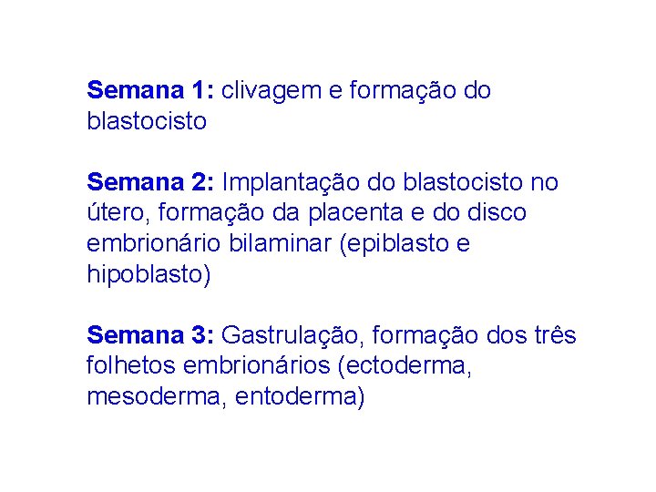 Semana 1: clivagem e formação do blastocisto Semana 2: Implantação do blastocisto no útero,