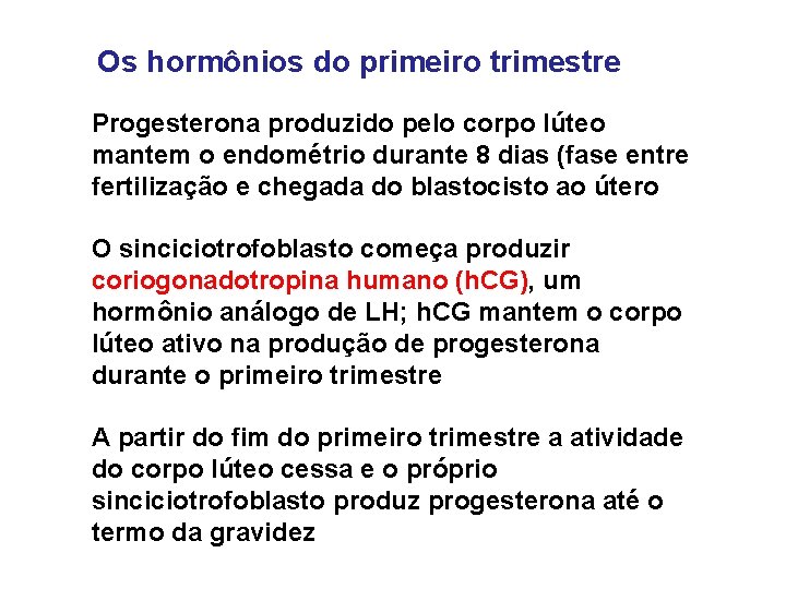 Os hormônios do primeiro trimestre Progesterona produzido pelo corpo lúteo mantem o endométrio durante