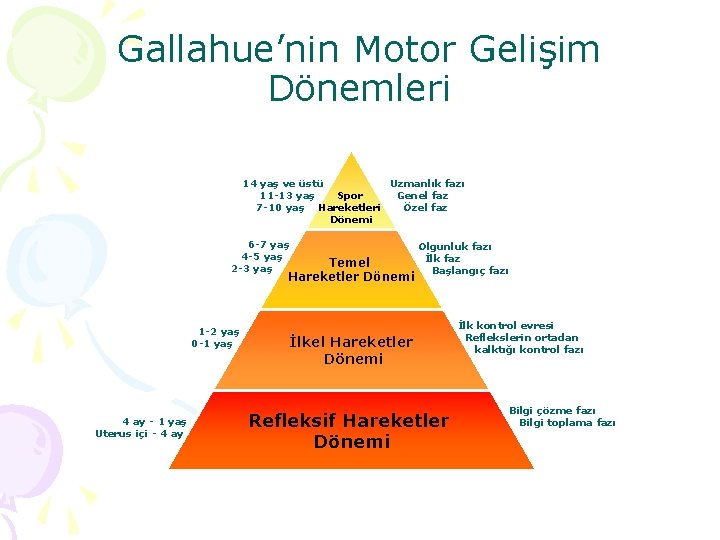 Gallahue’nin Motor Gelişim Dönemleri 14 yaş ve üstü Uzmanlık fazı Spor 11 -13 yaş