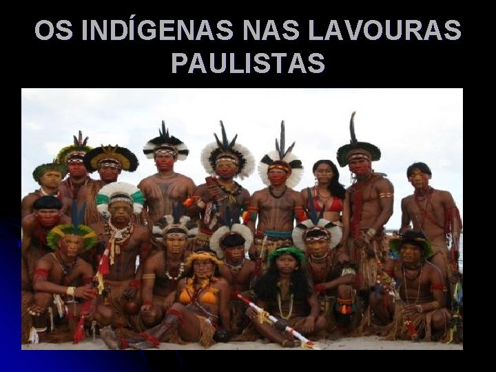 OS INDÍGENAS LAVOURAS PAULISTAS 