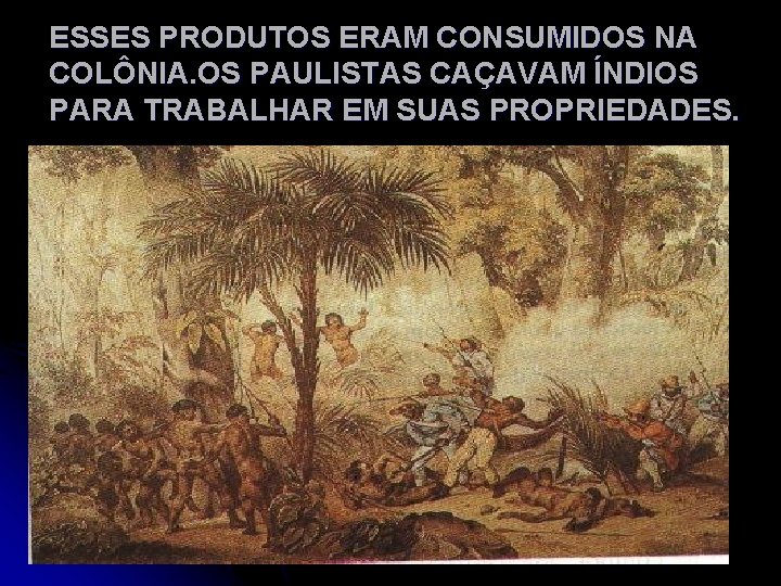 ESSES PRODUTOS ERAM CONSUMIDOS NA COLÔNIA. OS PAULISTAS CAÇAVAM ÍNDIOS PARA TRABALHAR EM SUAS