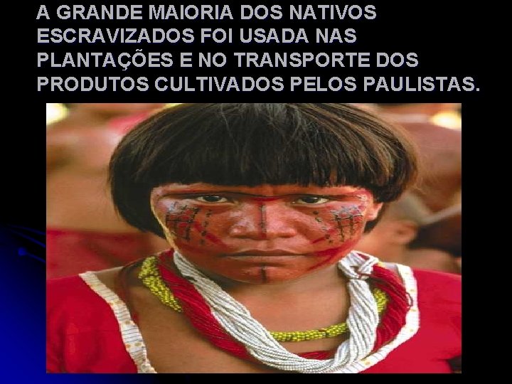 A GRANDE MAIORIA DOS NATIVOS ESCRAVIZADOS FOI USADA NAS PLANTAÇÕES E NO TRANSPORTE DOS