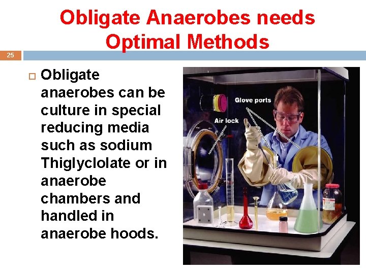 Obligate Anaerobes needs Optimal Methods 25 Obligate anaerobes can be culture in special reducing