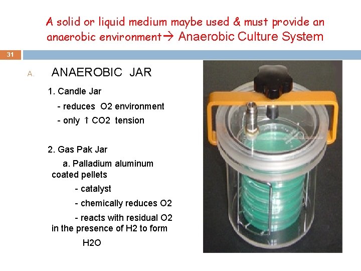 A solid or liquid medium maybe used & must provide an anaerobic environment Anaerobic