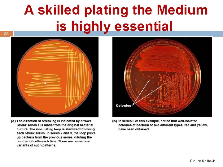  A skilled plating the Medium 35 is highly essential Figure 6. 10 a–b