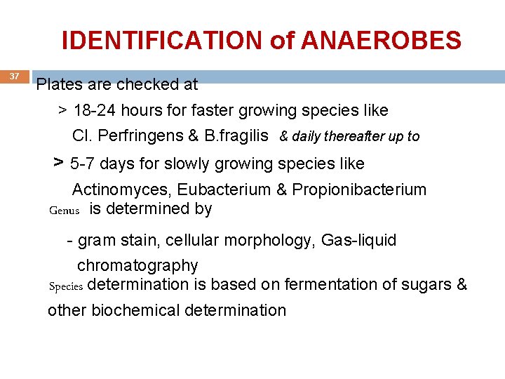  IDENTIFICATION of ANAEROBES 37 Plates are checked at > 18 -24 hours for