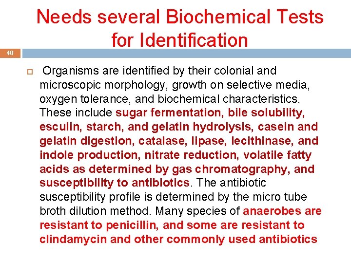 Needs several Biochemical Tests for Identification 40 Organisms are identified by their colonial and