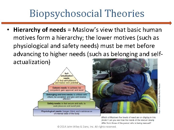 Biopsychosocial Theories • Hierarchy of needs = Maslow’s view that basic human motives form