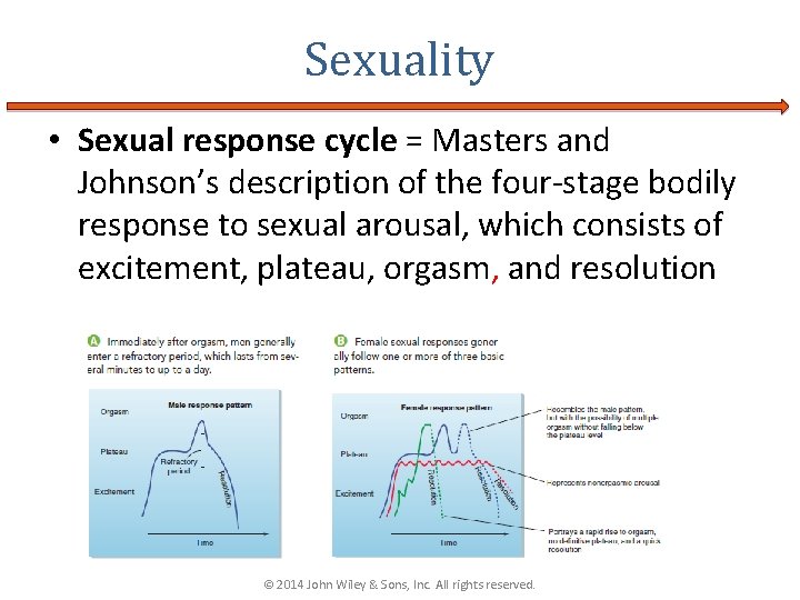 Sexuality • Sexual response cycle = Masters and Johnson’s description of the four-stage bodily