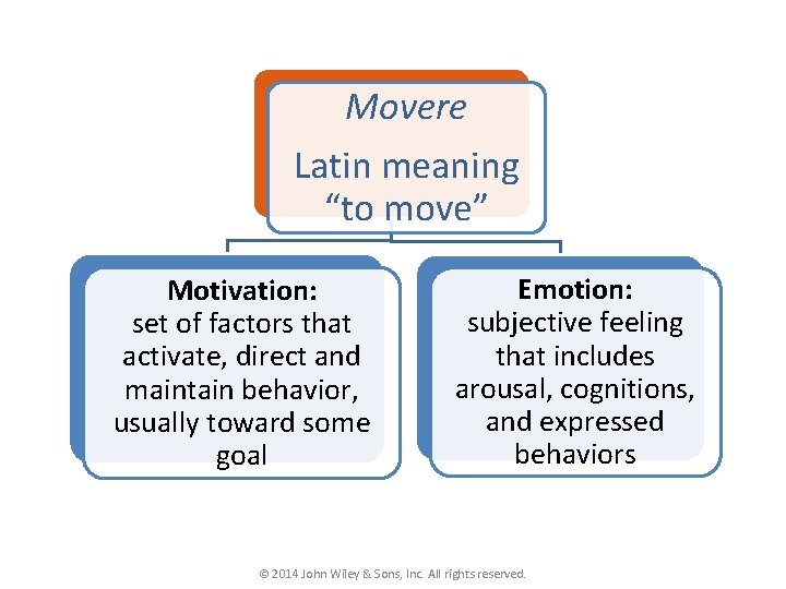 Movere Latin meaning “to move” Motivation: set of factors that activate, direct and maintain