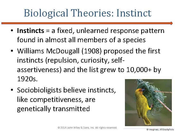 Biological Theories: Instinct • Instincts = a fixed, unlearned response pattern found in almost