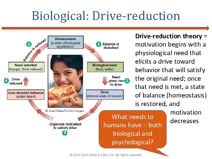 Biological: Drive-reduction theory = motivation begins with a physiological need that elicits a drive