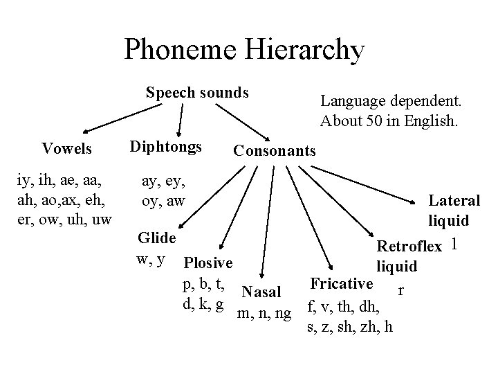 Phoneme Hierarchy Speech sounds Vowels Diphtongs iy, ih, ae, aa, ah, ao, ax, eh,