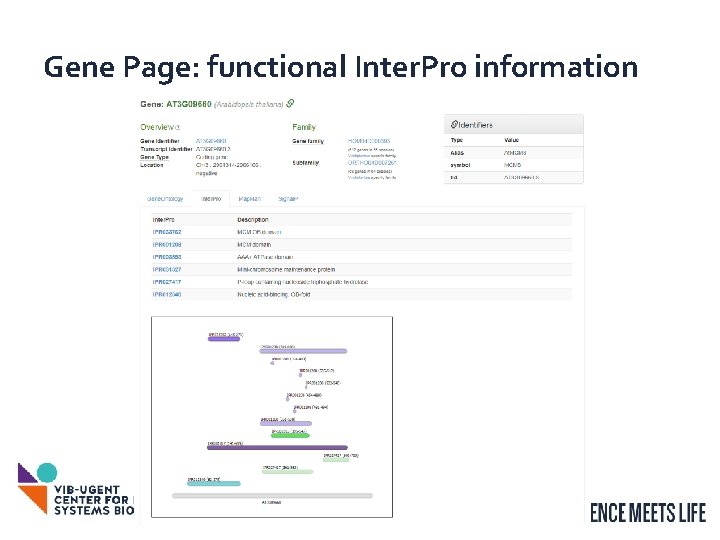 Gene Page: functional Inter. Pro information 10 