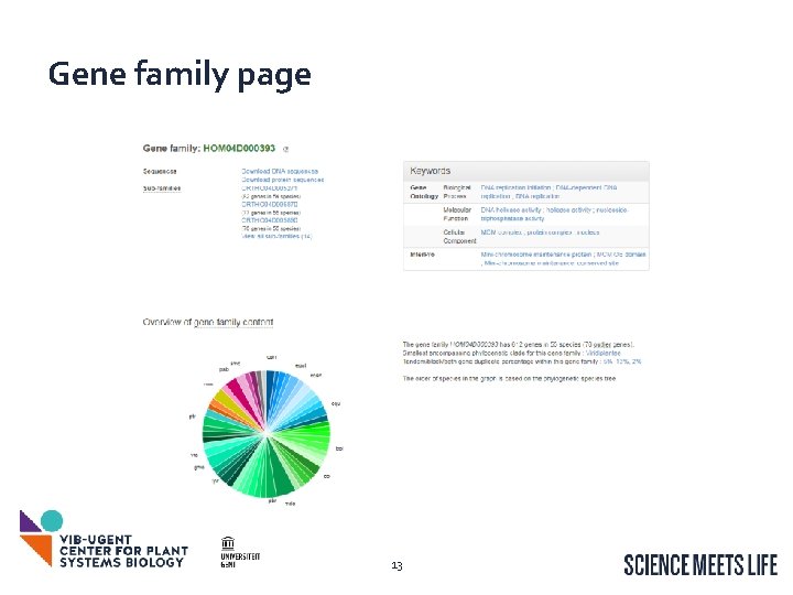 Gene family page 13 