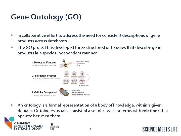 Gene Ontology (GO) • • • a collaborative effort to address the need for