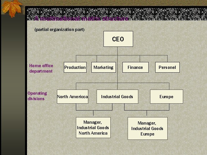 A multinational matrix structure (partial organization part) CEO Home office department Operating divisions Production