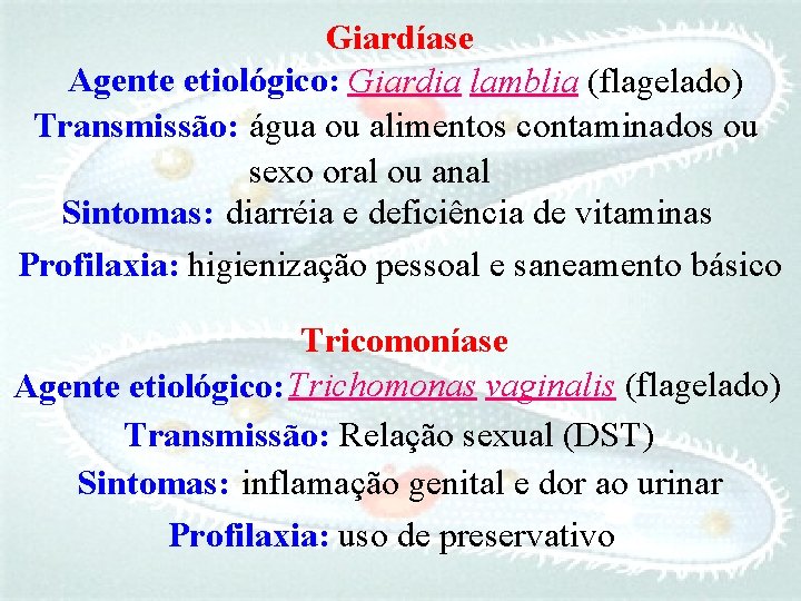 Giardíase Agente etiológico: Giardia lamblia (flagelado) Transmissão: água ou alimentos contaminados ou sexo oral