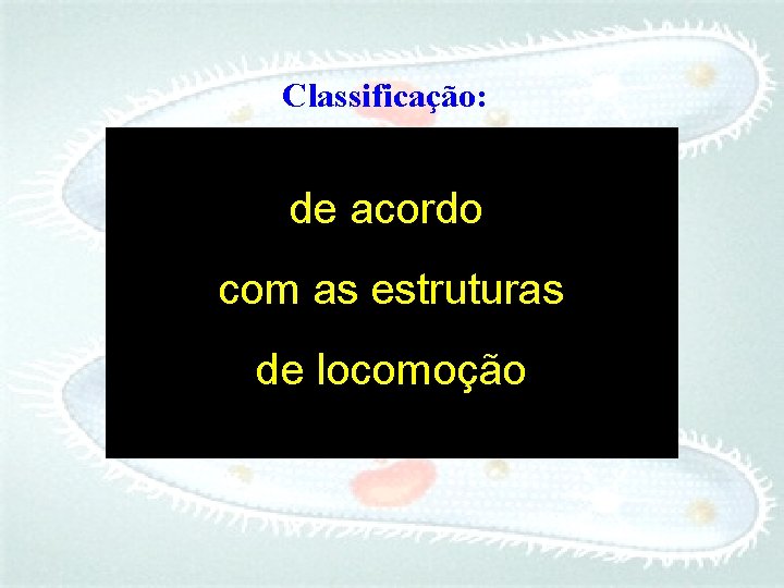 Classificação: de acordo com as estruturas de locomoção 