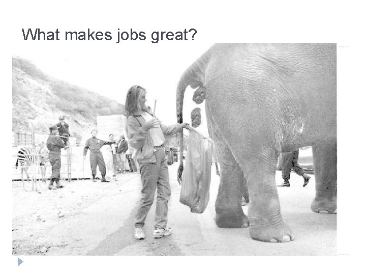 What makes jobs great? 