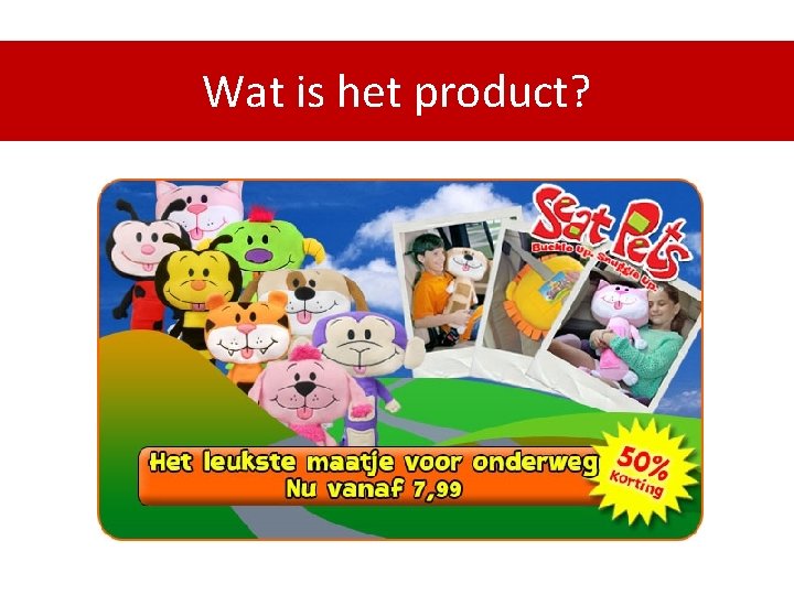 Wat is het product? 