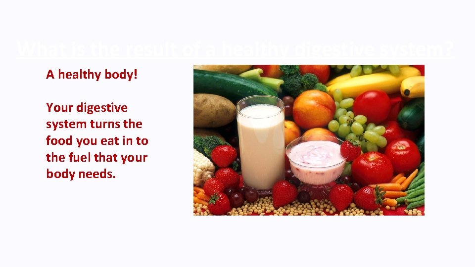 What is the result of a healthy digestive system? A healthy body! Your digestive
