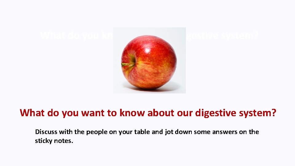 What do you know about our digestive system? What do you want to know