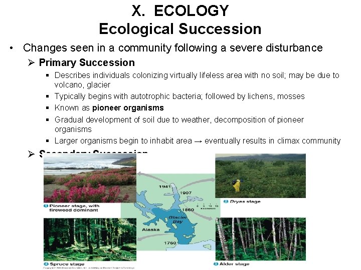 X. ECOLOGY Ecological Succession • Changes seen in a community following a severe disturbance
