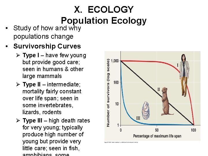 X. ECOLOGY Population Ecology • Study of how and why populations change • Survivorship