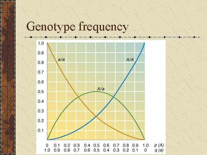 Genotype frequency 
