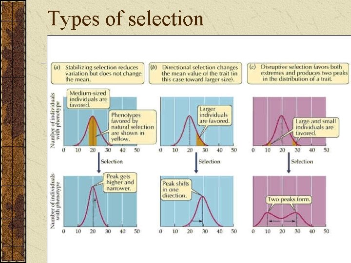 Types of selection 