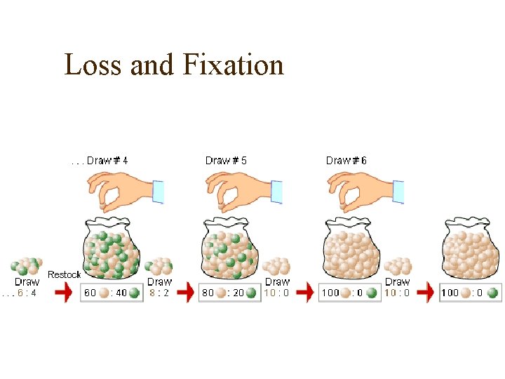 Loss and Fixation 