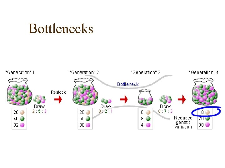 Bottlenecks 