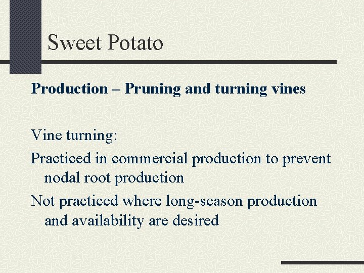 Sweet Potato Production – Pruning and turning vines Vine turning: Practiced in commercial production