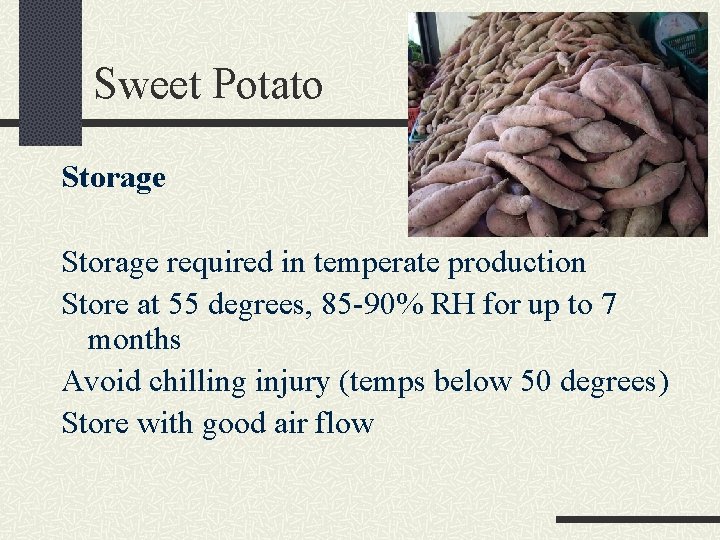 Sweet Potato Storage required in temperate production Store at 55 degrees, 85 -90% RH