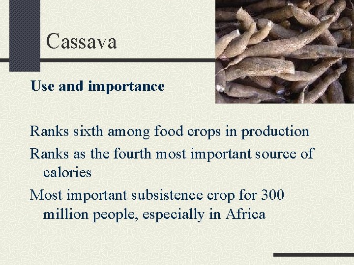 Cassava Use and importance Ranks sixth among food crops in production Ranks as the