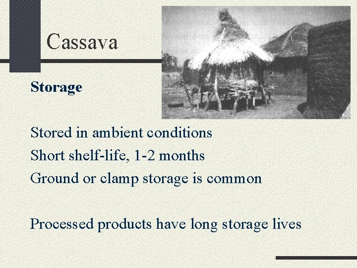 Cassava Storage Stored in ambient conditions Short shelf-life, 1 -2 months Ground or clamp