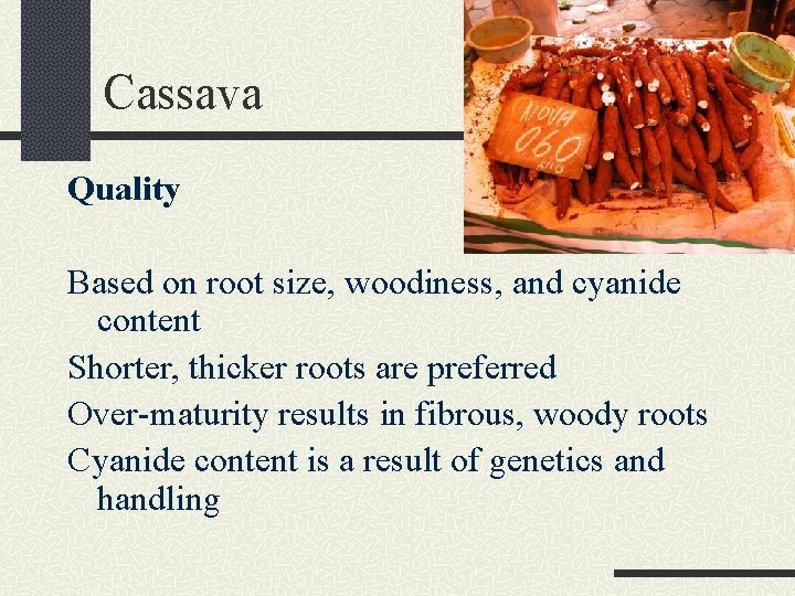 Cassava Quality Based on root size, woodiness, and cyanide content Shorter, thicker roots are