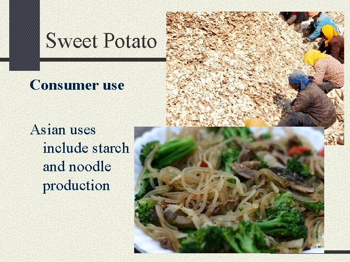 Sweet Potato Consumer use Asian uses include starch and noodle production 